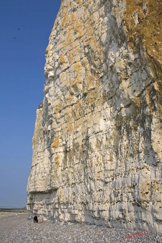 Cjp_2010_04_14_154939 (1).jpg